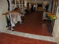Švýcárna - muzeum starokladrubského koně
