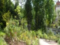 Botanická zahrada Albertov
